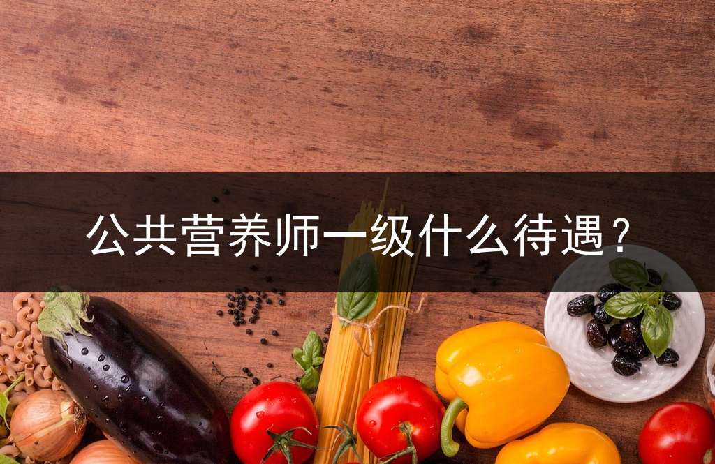 公共营养师一级什么待遇？