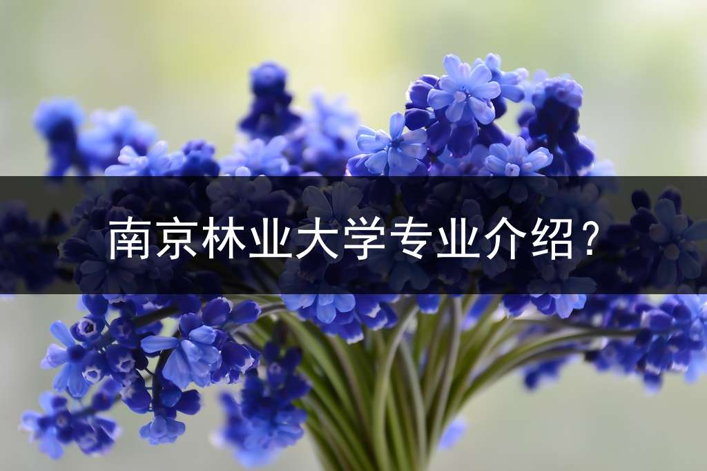 南京林业大学专业介绍？