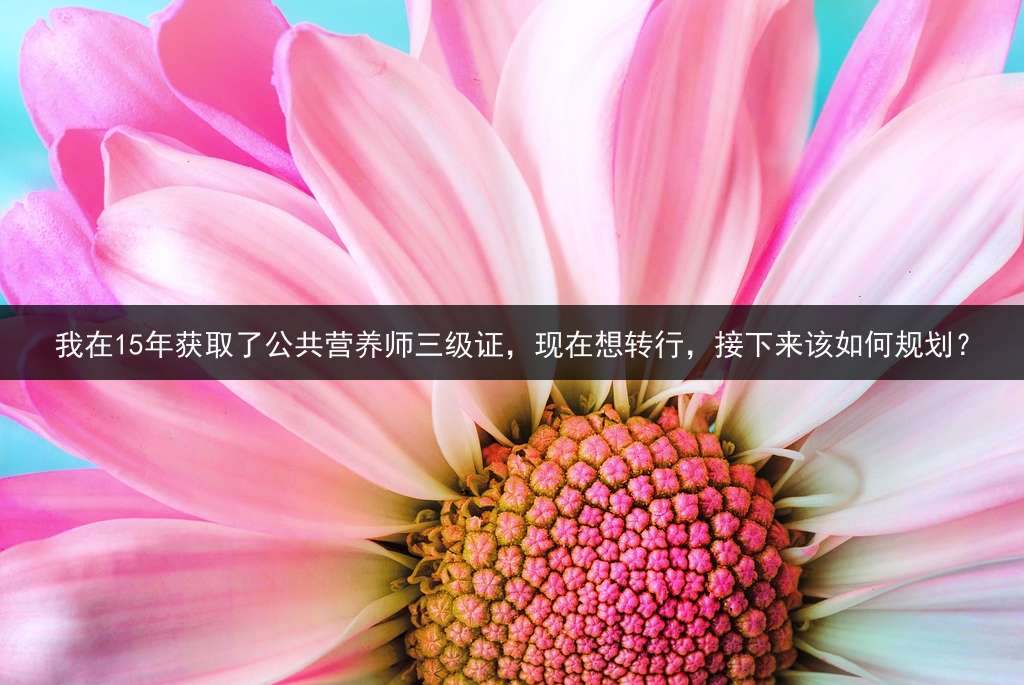 我在15年获取了公共营养师三级证，现在想转行，接下来该如何规划？