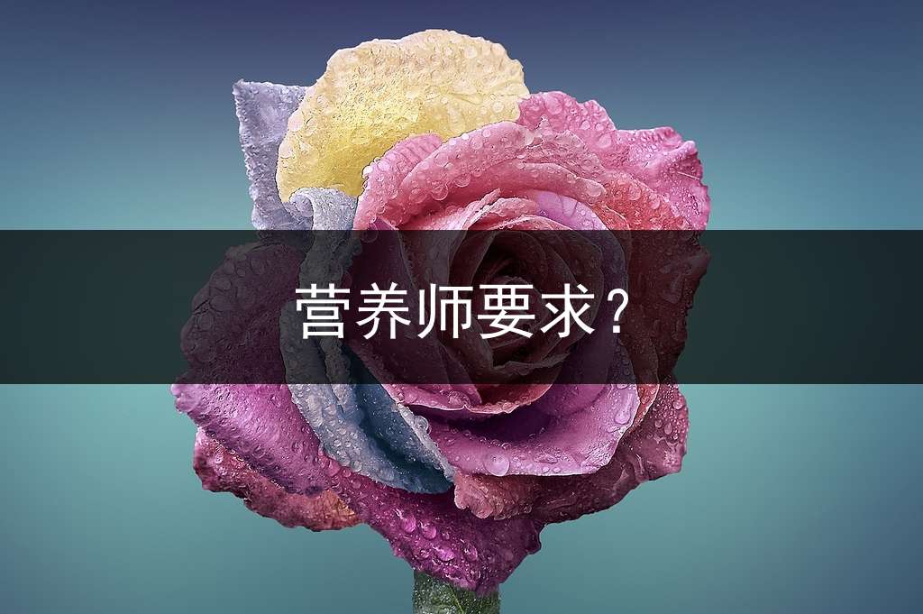 营养师要求？
