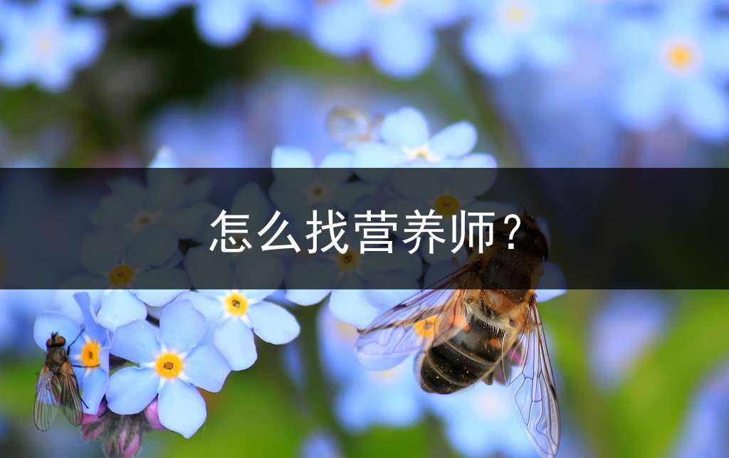 怎么找营养师？