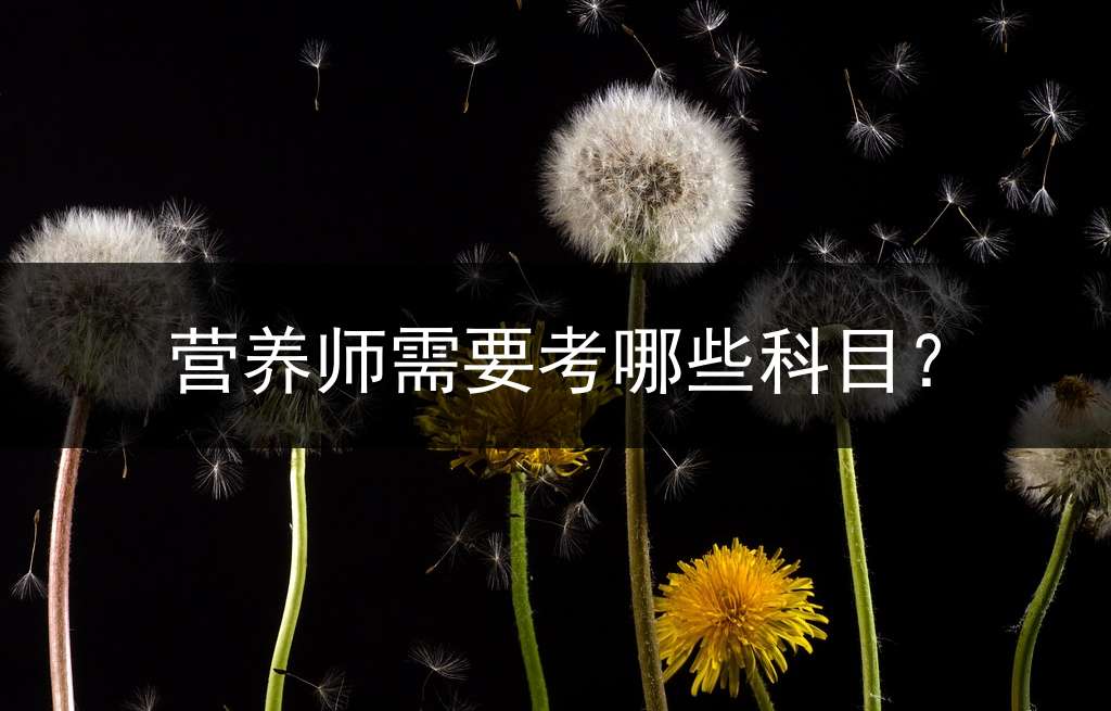 营养师需要考哪些科目？