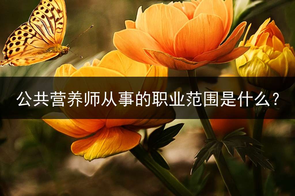 公共营养师从事的职业范围是什么？