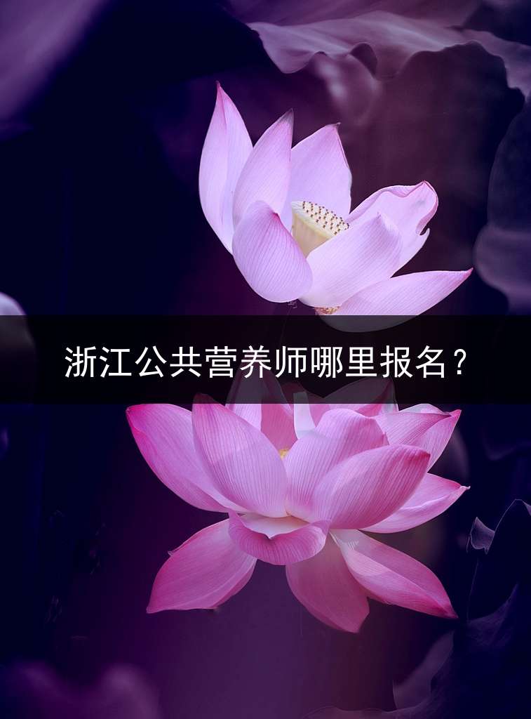 浙江公共营养师哪里报名？