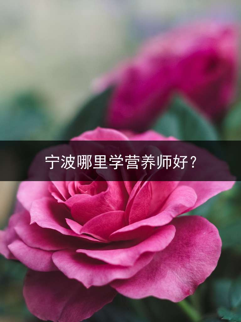 宁波哪里学营养师好？