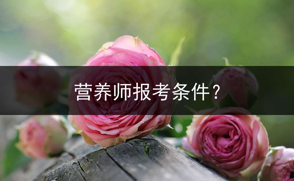 营养师报考条件？