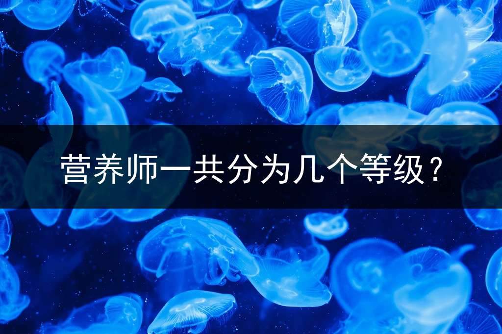 营养师一共分为几个等级？