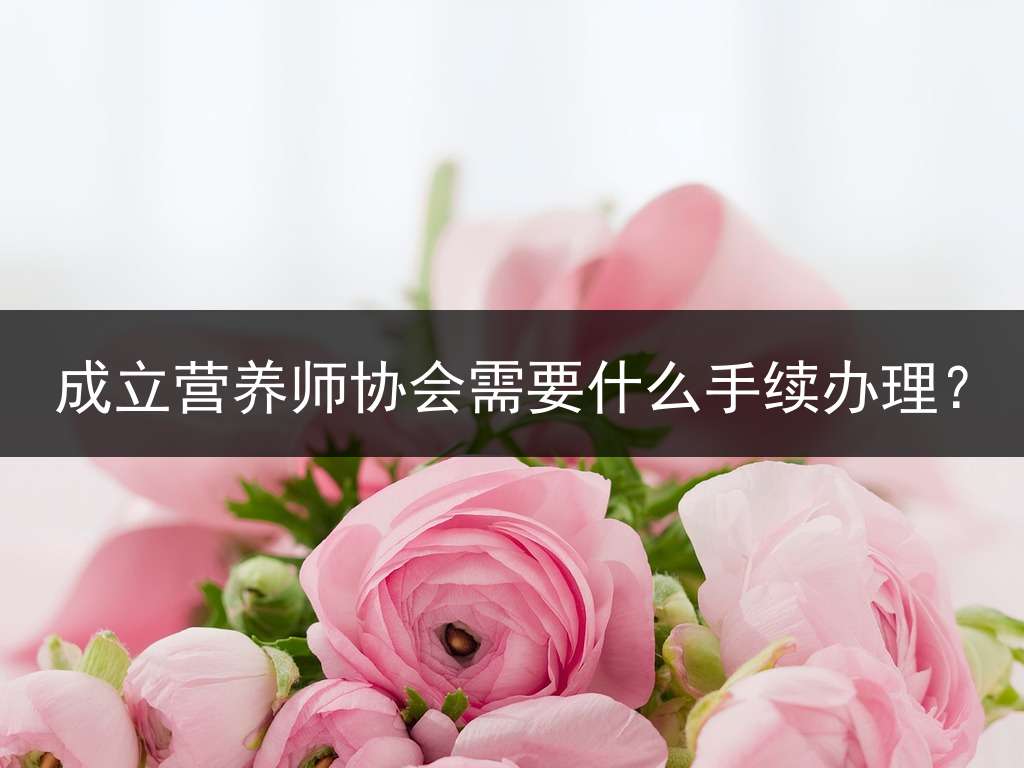 成立营养师协会需要什么手续办理？