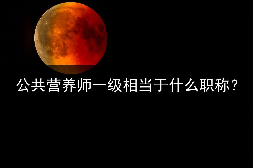 公共营养师一级相当于什么职称？