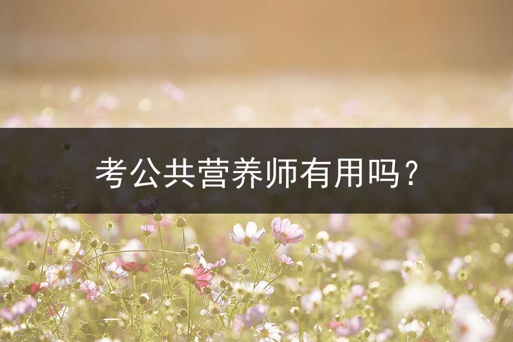 考公共营养师有用吗？
