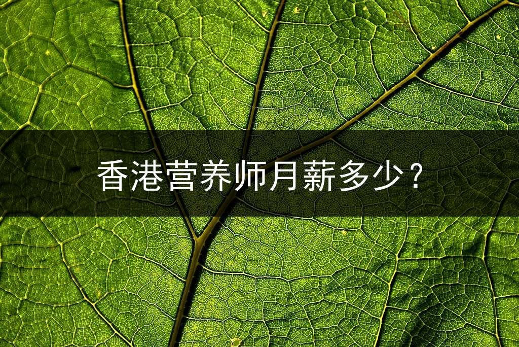 香港营养师月薪多少？