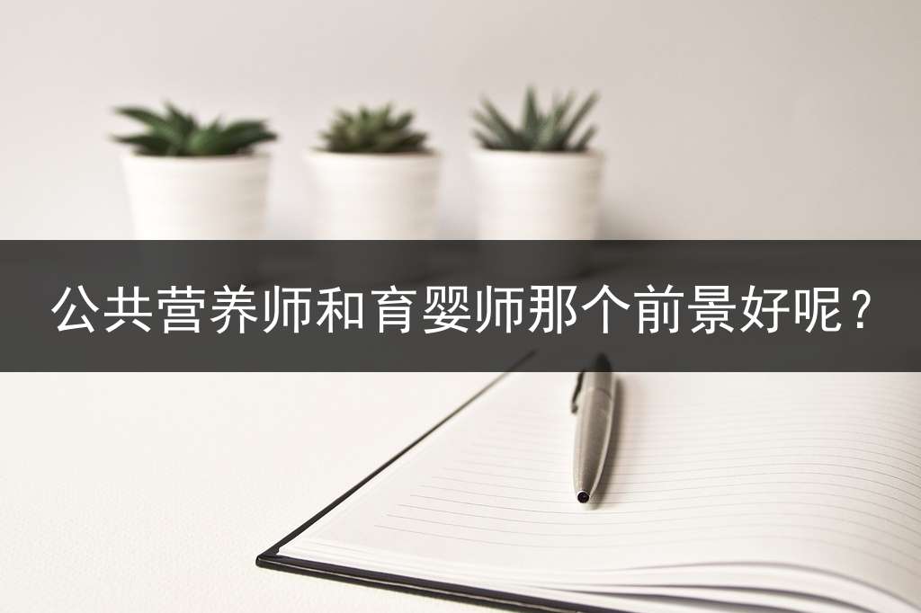 公共营养师和育婴师那个前景好呢？