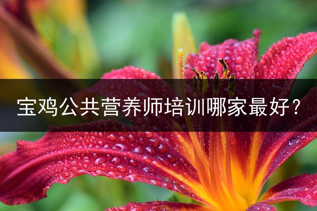 宝鸡公共营养师培训哪家最好？