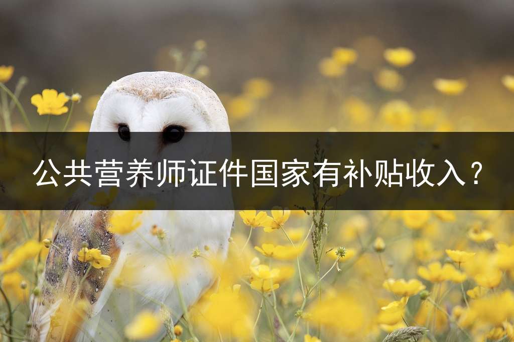 公共营养师证件国家有补贴收入？