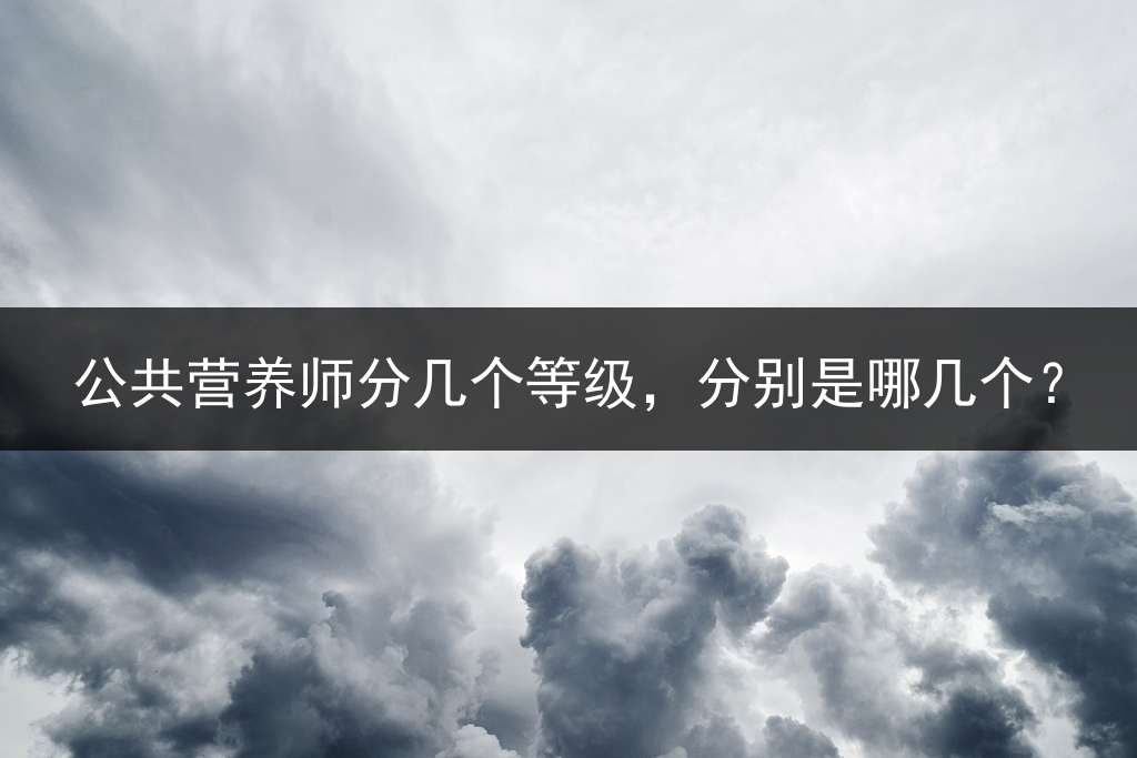 公共营养师分几个等级，分别是哪几个？