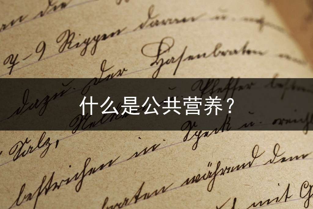 什么是公共营养？
