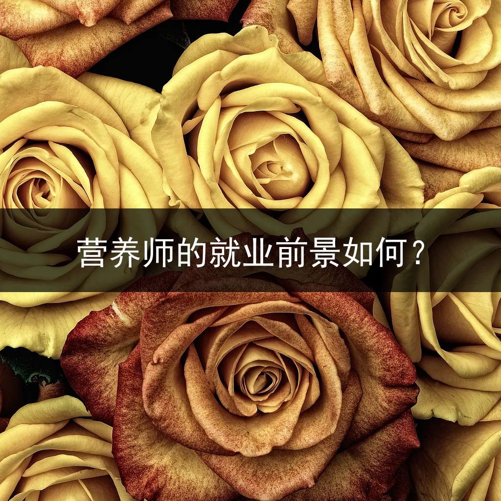 营养师的就业前景如何？