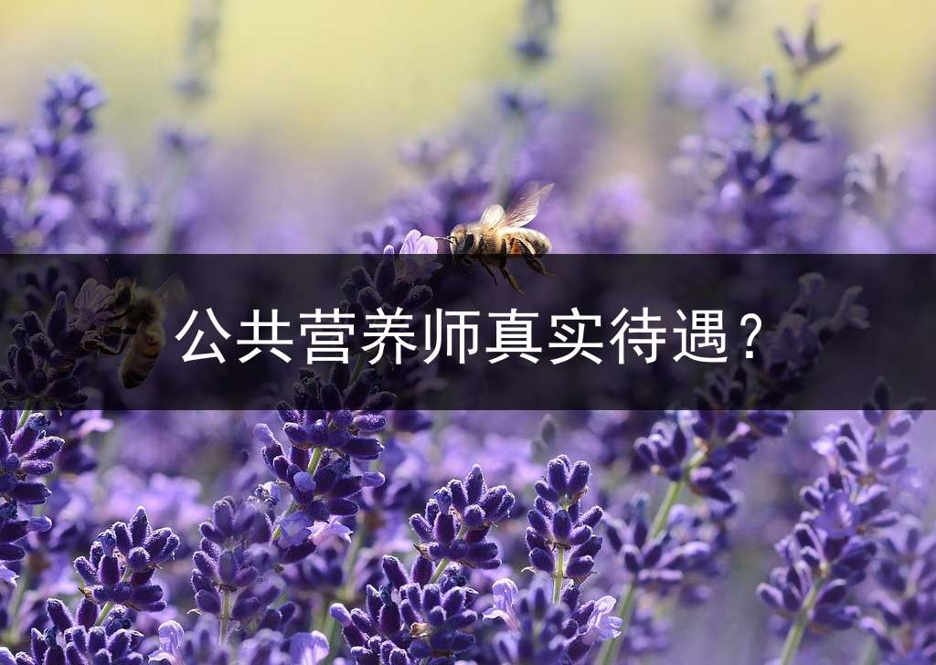 公共营养师真实待遇？