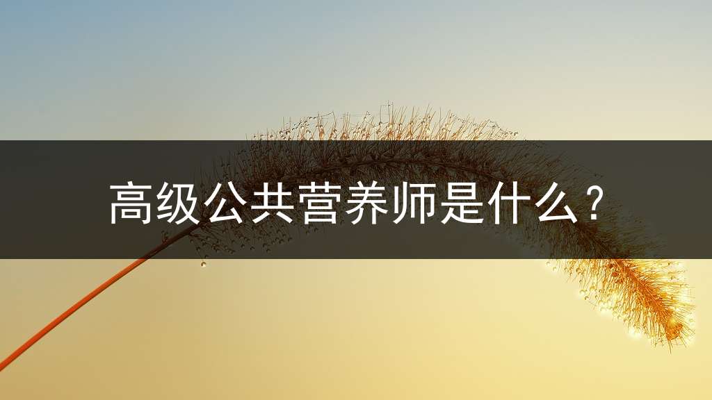 高级公共营养师是什么？