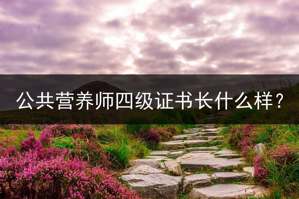 公共营养师四级证书长什么样？