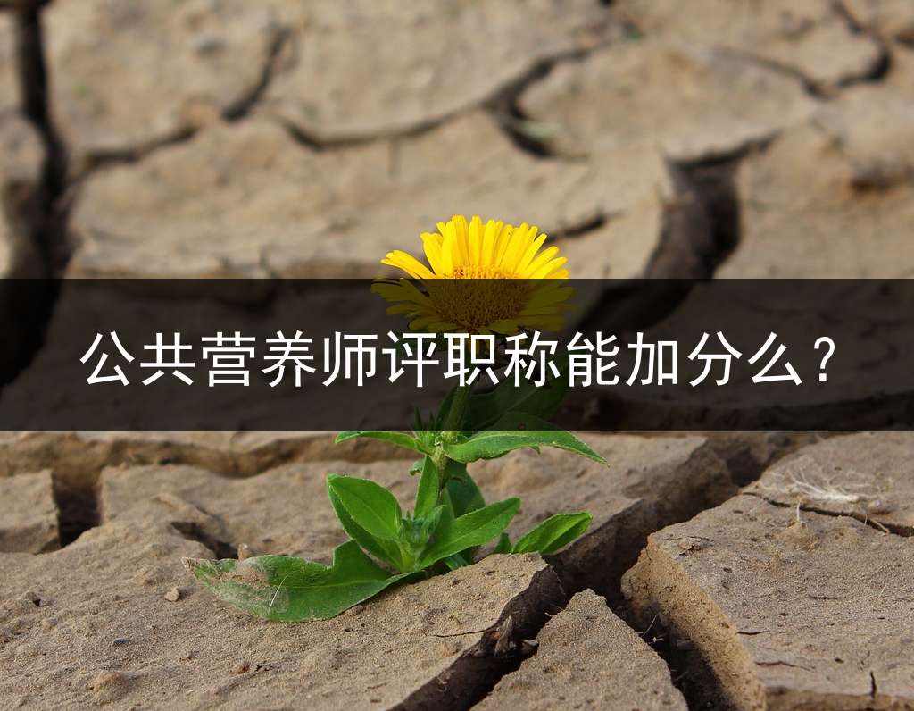 公共营养师评职称能加分么？