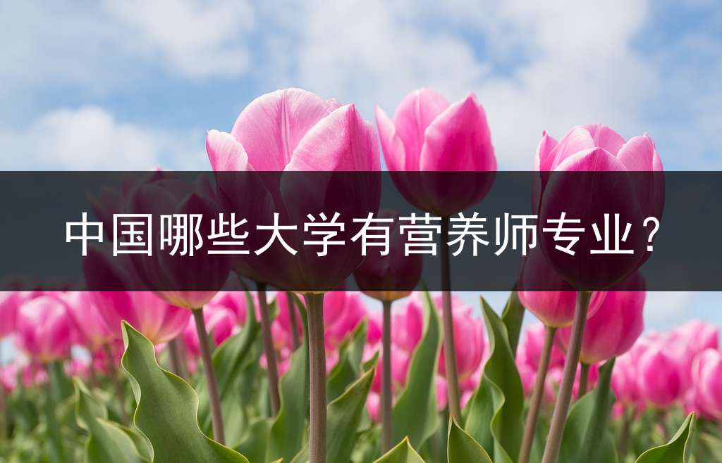 中国哪些大学有营养师专业？