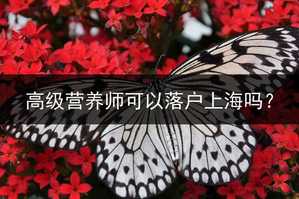 高级营养师可以落户上海吗？