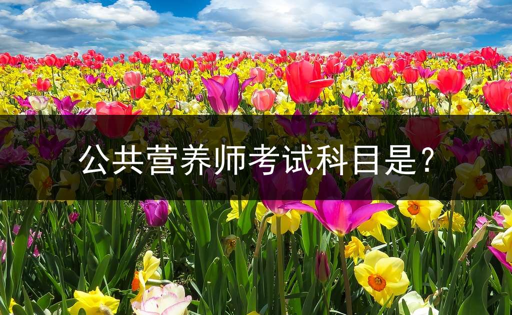 公共营养师考试科目是？