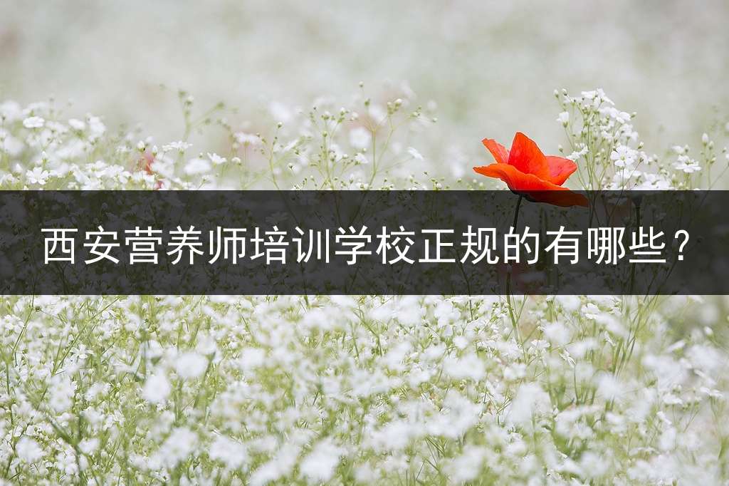 西安营养师培训学校正规的有哪些？