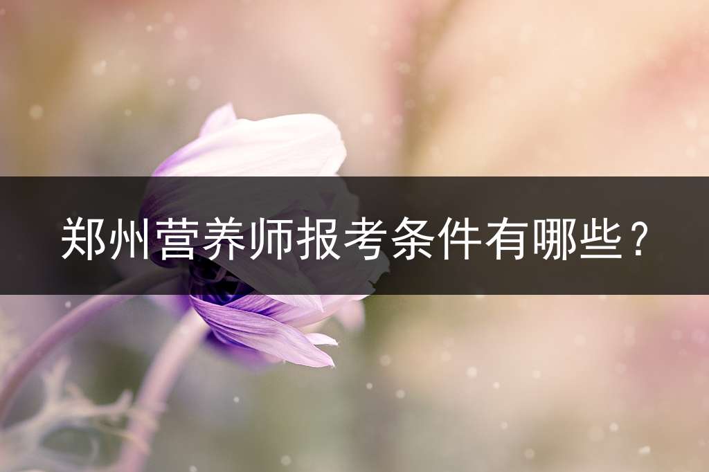 郑州营养师报考条件有哪些？