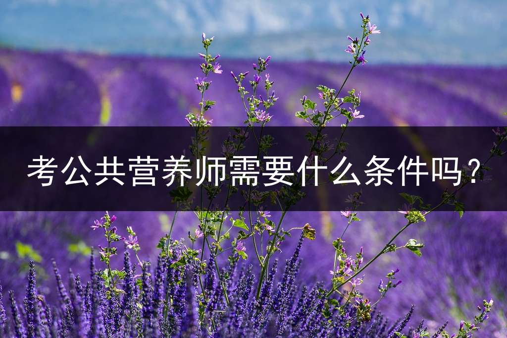 考公共营养师需要什么条件吗？