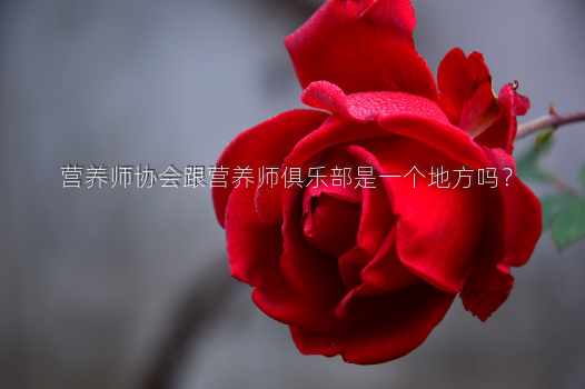 营养师协会跟营养师俱乐部是一个地方吗？
