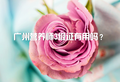 广州营养师3级证有用吗？