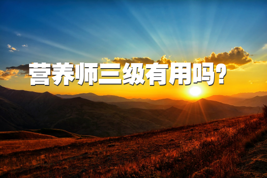 营养师三级有用吗？