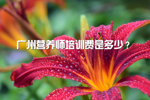 广州营养师培训费是多少？