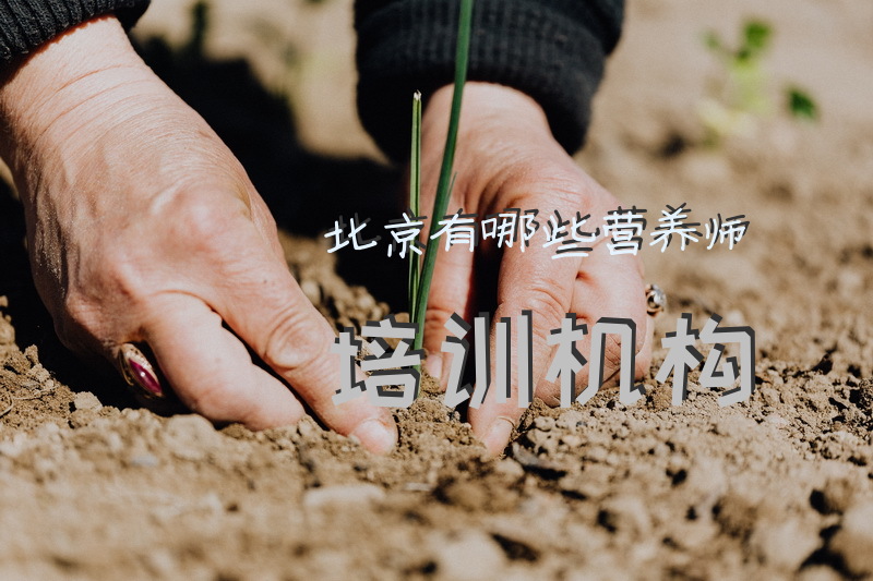 北京有哪些营养师培训机构