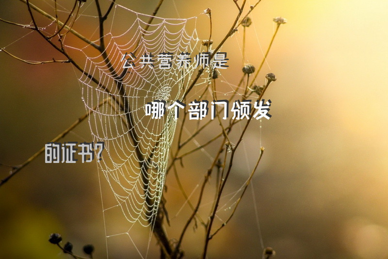 公共营养师是哪个部门颁发的证书？
