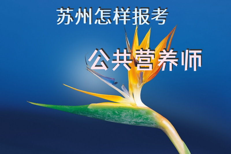 苏州怎样报考公共营养师