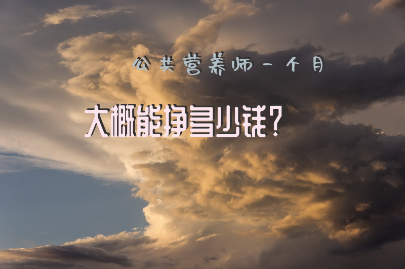 公共营养师一个月大概能挣多少钱？