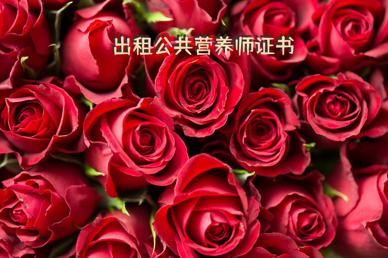 出租公共营养师证书？