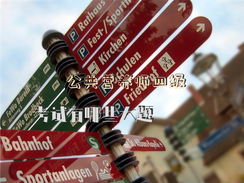 公共营养师四级考试有哪些大题