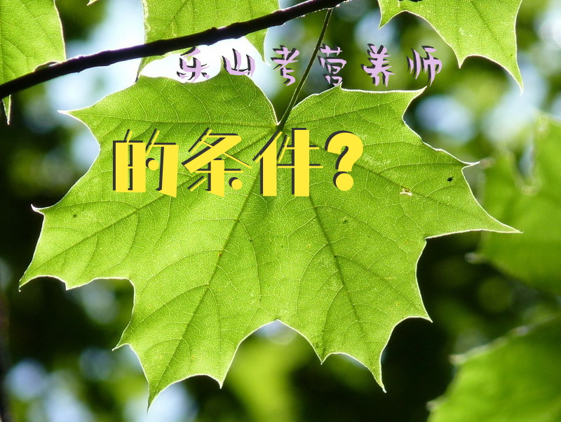 乐山考营养师的条件？
