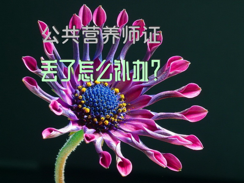 公共营养师证丢了怎么补办？