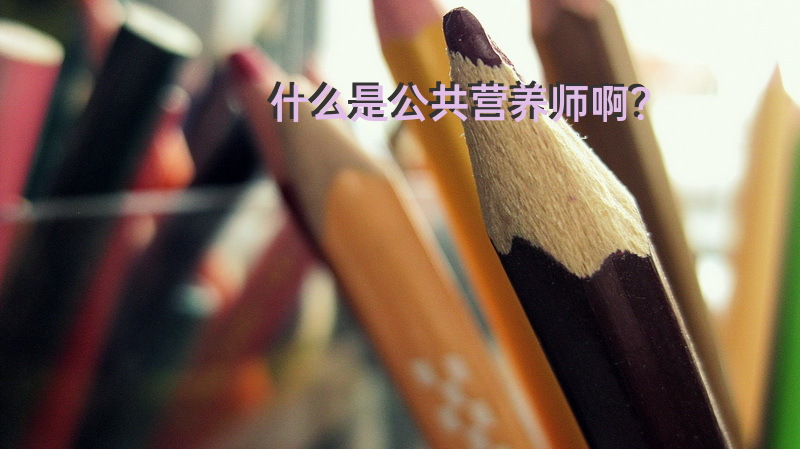 什么是公共营养师啊？