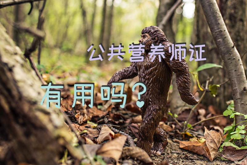 公共营养师证有用吗？