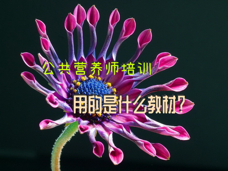 公共营养师培训用的是什么教材？