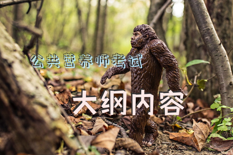 公共营养师考试大纲内容