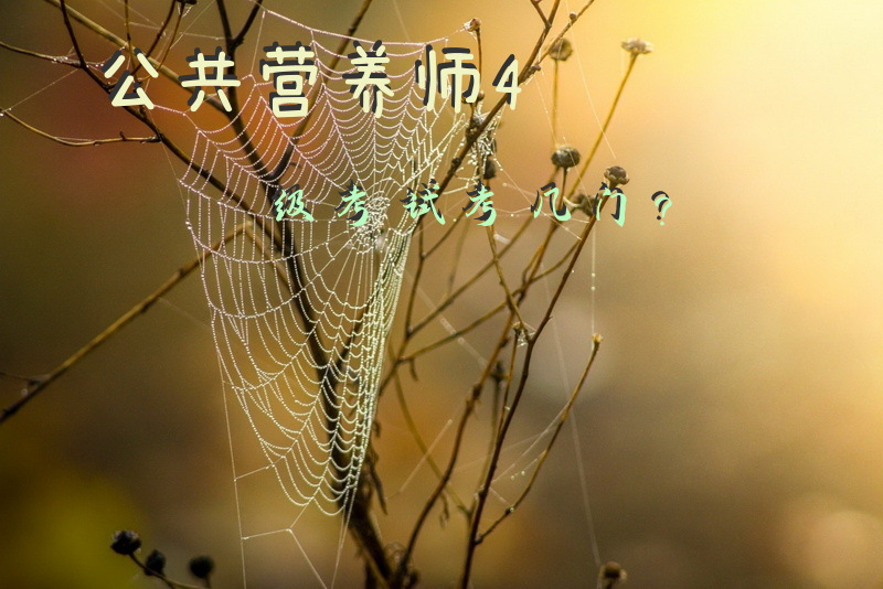 公共营养师4级考试考几门？