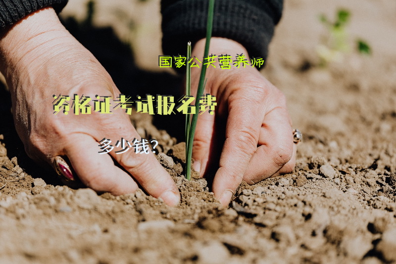 国家公共营养师资格证考试报名费多少钱？
