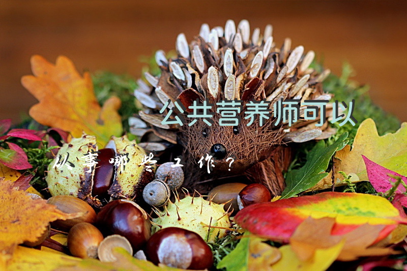 公共营养师可以从事哪些工作？